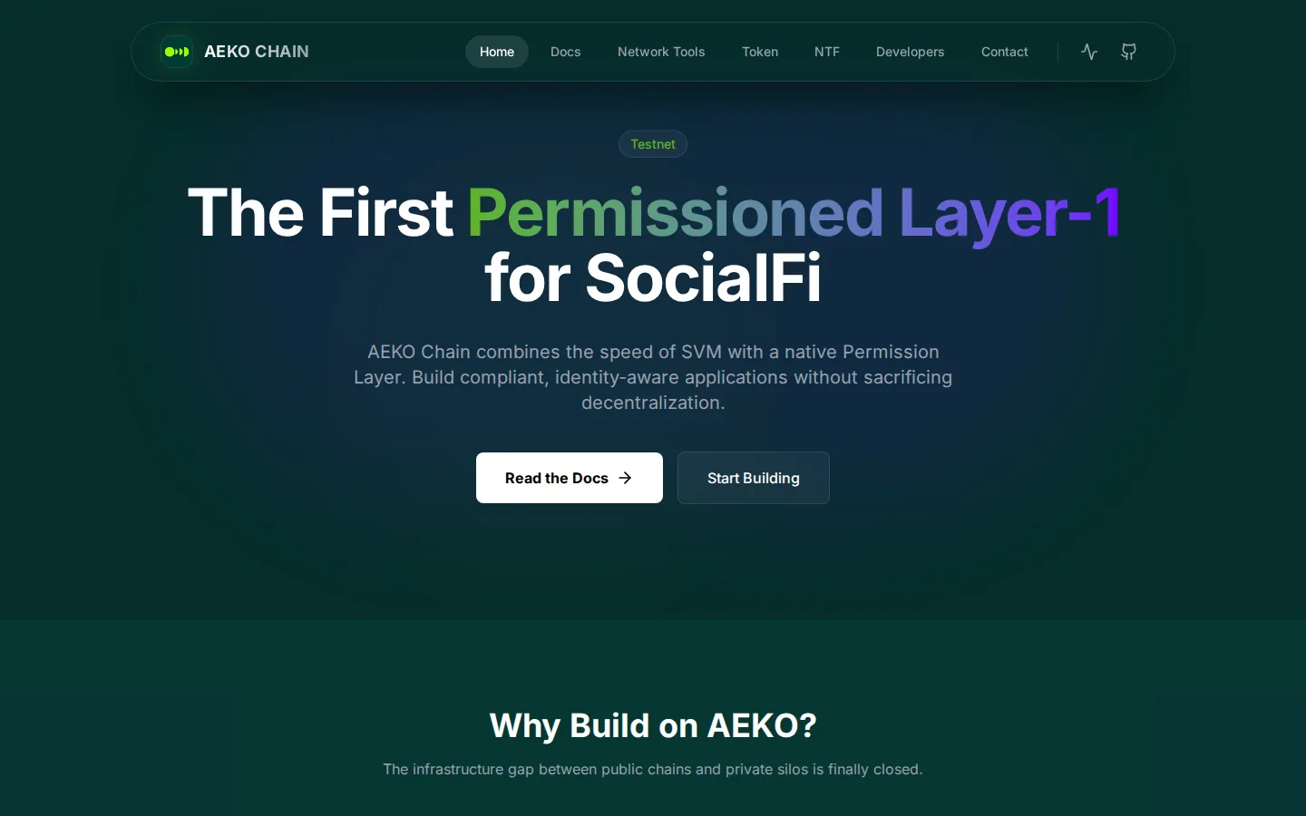 Public interface of AEKO: Building a Distinct Layer-1 Network